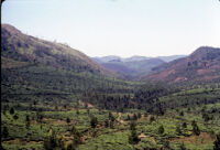 Tea plantation hillsides, Vandiperiyar (India), 1984