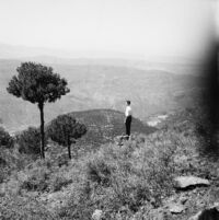 Snapshot of a young man in the Metn mountains