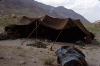 Nomad Tent