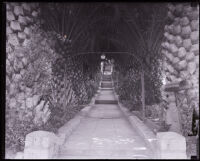 Walkway lined with palms, Redlands, 1920s