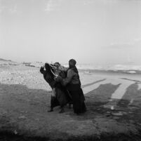 Bedouin girls carrying water