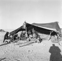 Bedouin women weaving wool on a loom