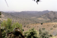 Reconnaissance