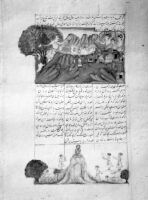 Folio from Farhang-i-Aurang Shahi of Hidayatullah Muhammad