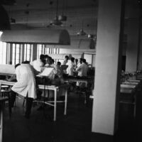 Indoor snapshot of students in a laboratory