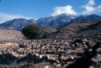 Graveyard in Alishang District, Laghman Province