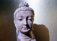 Buddha Stucco Head; Hadda, Nangarhar Province