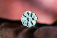 Bronze Age Metal Object; Treasure Hunters Find From the North