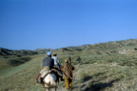 Mujahideen On The Horse Walking Through The Hill