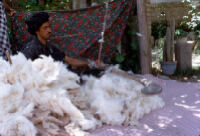 Roving Specialists: The Cotton Fluffer