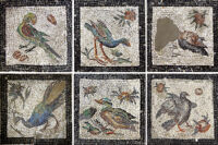 Villa of the Birds Mosaic Conservation