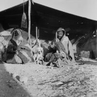 Bedouins with falcon and dog