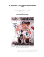 Tomb of Menna: Color Analysis Season Report (April 2007)