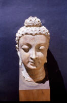 Buddha Stucco Head; Hadda, Nangarhar Province