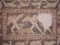 Close-ups of stag-hunt mosaic after conservation 