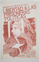 Libertad a las prisioneras políticas