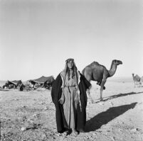 Portrait of a Bedouin boy