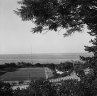 View of the AUB green field
