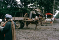 Kunduz Bazaar, Cart