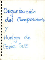Organización del campesinado y huelga de la costa sur, 1980