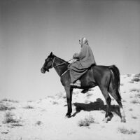 Bedouin man on horseback