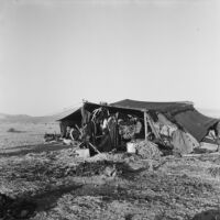 View of a Bedouin tent