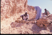 Workers completing construction of one of three rubble walls above tomb. View looking south.