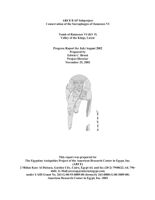 Ramesses VI Sarcophagus Conservation: Progress Report 4 (November 2002)