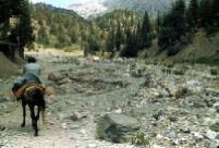 Man Riding Horse in Valley
