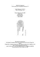 Ramesses VI Sarcophagus Conservation: Progress Report 3 (June 2002)