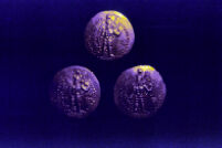 Gold Kushan Coins