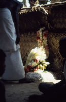 Villupāttu event - Pujari ritualist prepares ritual materials for a manjal nirattam trance ritual at the Ayyappan Temple, Achankulam (India : Village), 1984