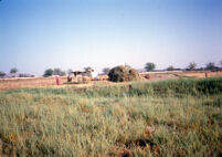 On Way From Qandahar to Sher Surkh