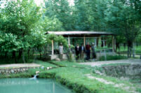 Dasht-i-Feraz