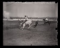 Bull rider and spectators at the Baker Ranch Rodeo Saugus, Santa Clarita, circa 1926