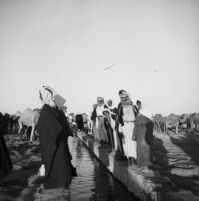 Bedouins at at water canal