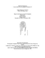 Ramesses VI Sarcophagus Conservation: Report to SCA (December 1998)