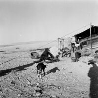 Snapshot of Bedouins in front of their tent