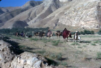 Nomads on Road to Gharluli