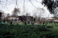 Graveyard