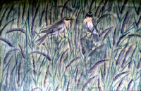 Abdul Malik, Sparrows in Wheat