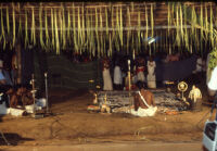 Theyyam festival - Pulluvan Sarpam pāṭṭu/Sarpam thullal, Kalliasseri (India), 1984