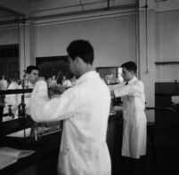 Indoor snapshot of students in a laboratory
