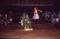 Theyyam festival - Velikkala pāṭṭu healing exorcism of the Pulaya community, Kalliasseri (India), 1984