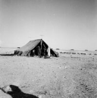Snapshot of a Bedouin tent