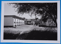 University of Botswana, 1982