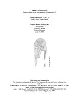 Ramesses VI Sarcophagus Conservation: Progress Report 1 (July 2001)