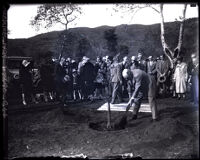 Field Marshal Viscount Allenby plants an olive tree at the Arboretum of Los Angeles County, Arcadia, 1928