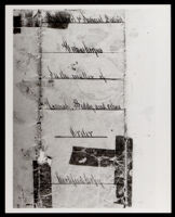 Freedom Papers of Biddy Mason, given to her in 1860 (photographed 1930-1989)