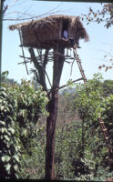 Tea plantation watchman tower, Vandiperiyar (India), 1984